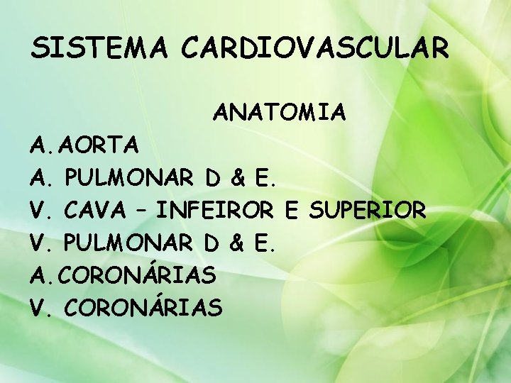 SISTEMA CARDIOVASCULAR ANATOMIA A. AORTA A. PULMONAR D & E. V. CAVA – INFEIROR