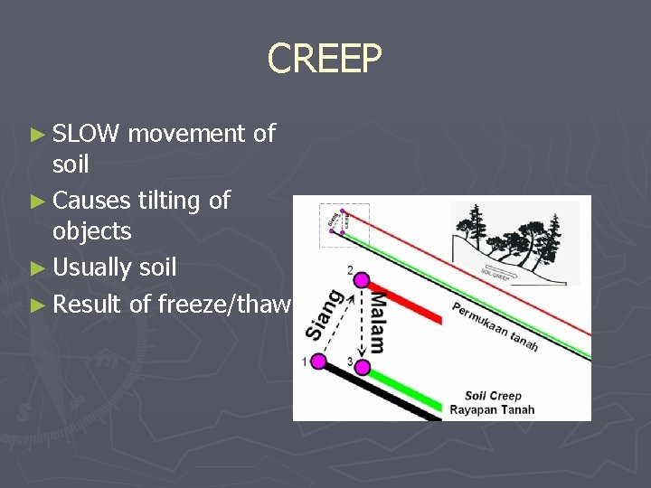 CREEP ► SLOW movement of soil ► Causes tilting of objects ► Usually soil