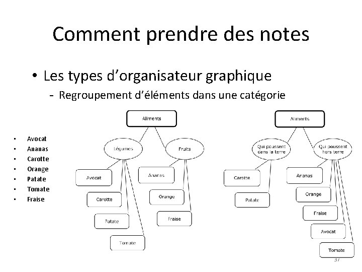 Comment prendre des notes • Les types d’organisateur graphique - Regroupement d’éléments dans une