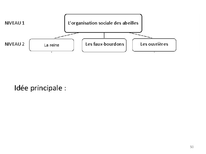 NIVEAU 1 NIVEAU 2 L’organisation sociale des abeilles Les faux-bourdons Les ouvrières Idée principale