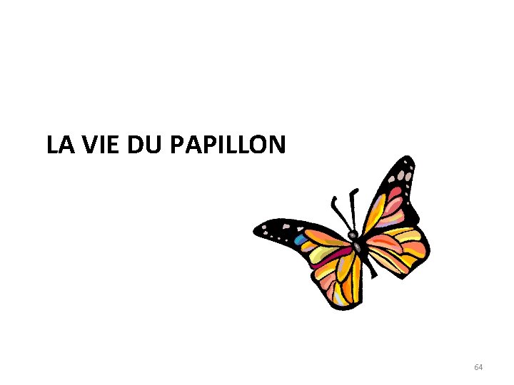 LA VIE DU PAPILLON 64 