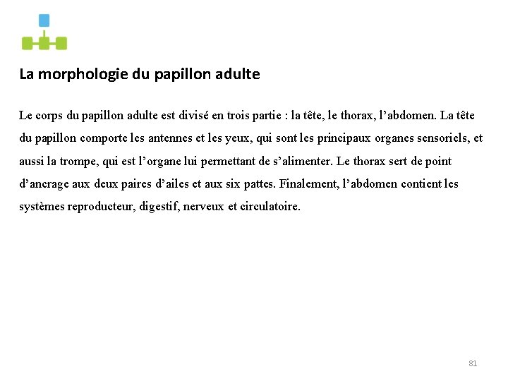 La morphologie du papillon adulte Le corps du papillon adulte est divisé en trois