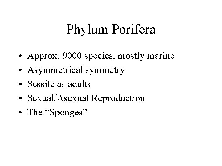 Phylum Porifera • • • Approx. 9000 species, mostly marine Asymmetrical symmetry Sessile as