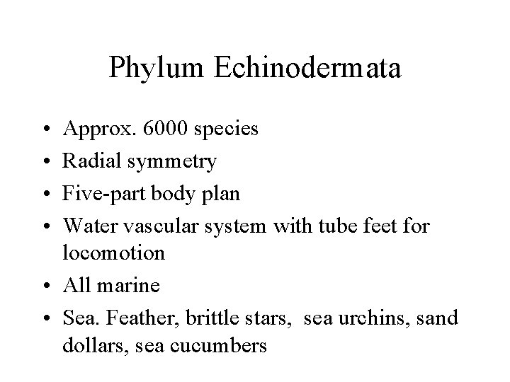 Phylum Echinodermata • • Approx. 6000 species Radial symmetry Five-part body plan Water vascular