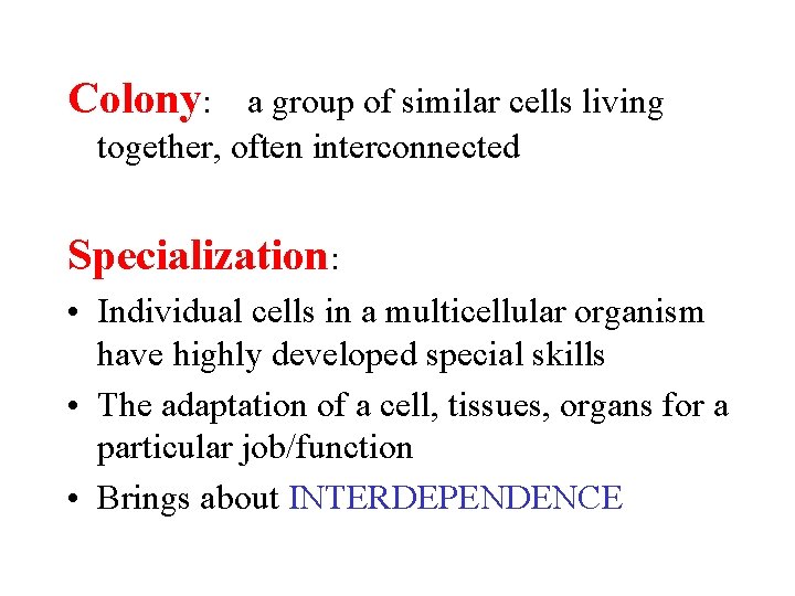 Colony: a group of similar cells living together, often interconnected Specialization: • Individual cells