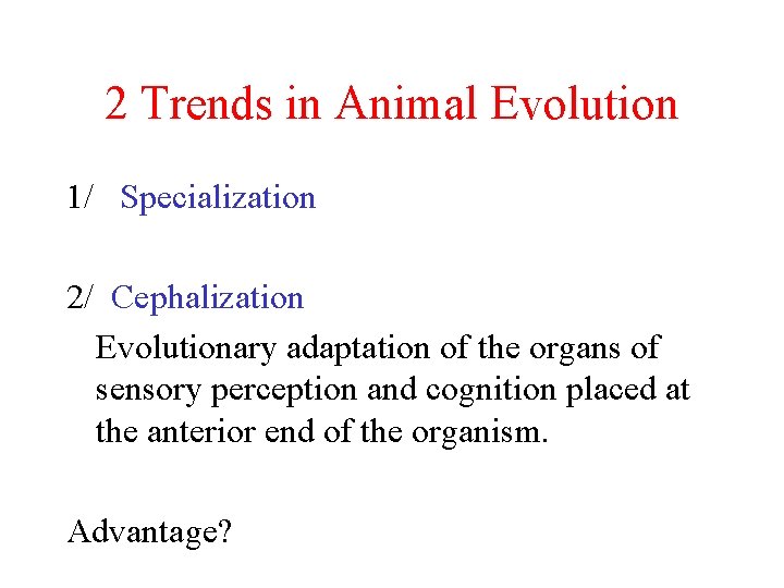 2 Trends in Animal Evolution 1/ Specialization 2/ Cephalization Evolutionary adaptation of the organs