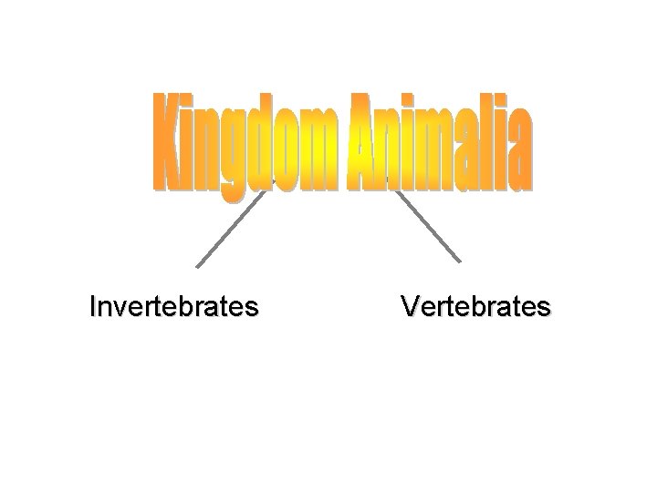 Invertebrates Vertebrates 
