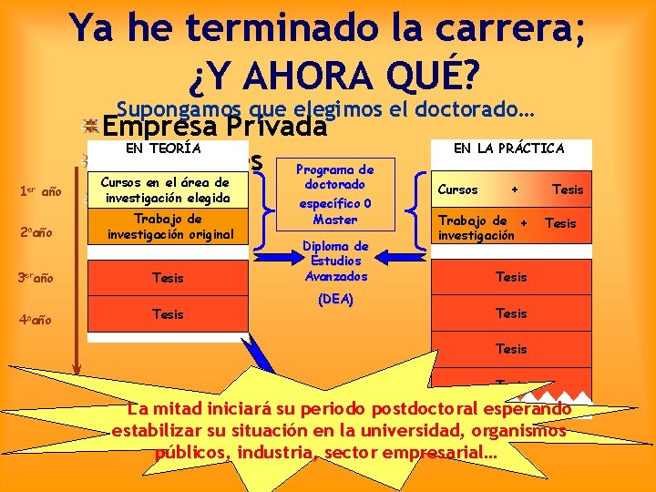 Ya he terminado la carrera; ¿Y AHORA QUÉ? Supongamos que elegimos el doctorado… 1