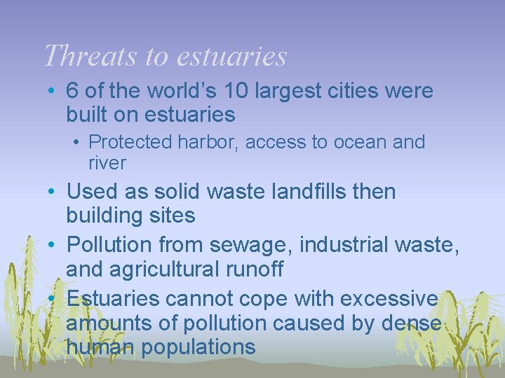 Threats to estuaries • 6 of the world’s 10 largest cities were built on