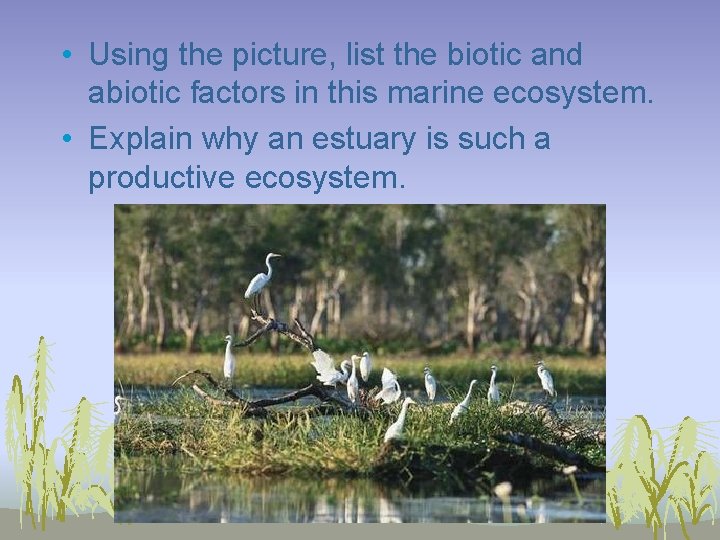  • Using the picture, list the biotic and abiotic factors in this marine