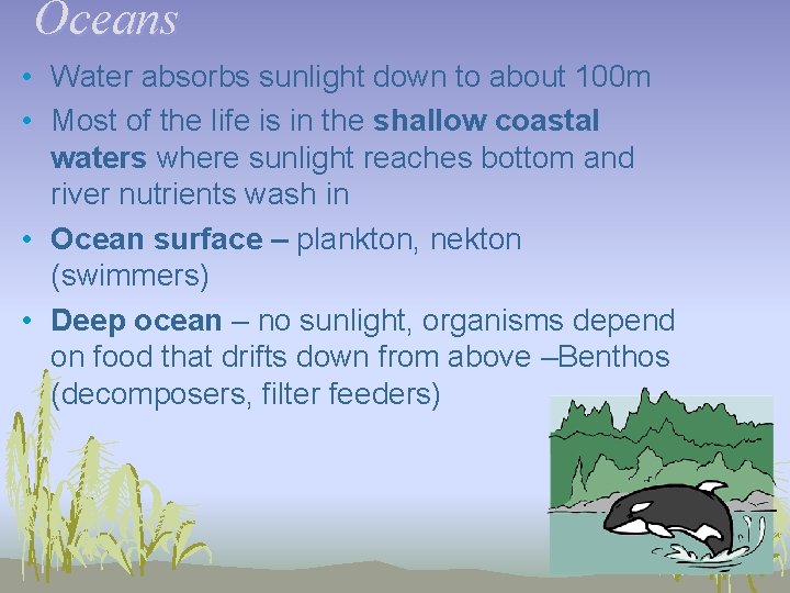 Oceans • Water absorbs sunlight down to about 100 m • Most of the