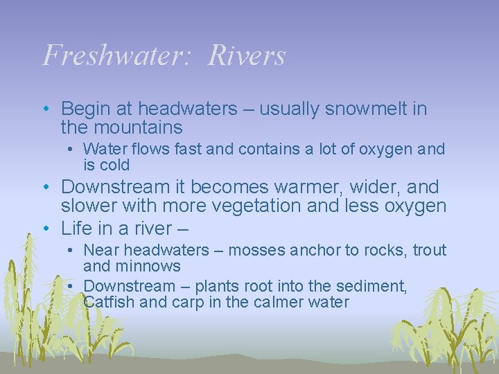 Freshwater: Rivers • Begin at headwaters – usually snowmelt in the mountains • Water