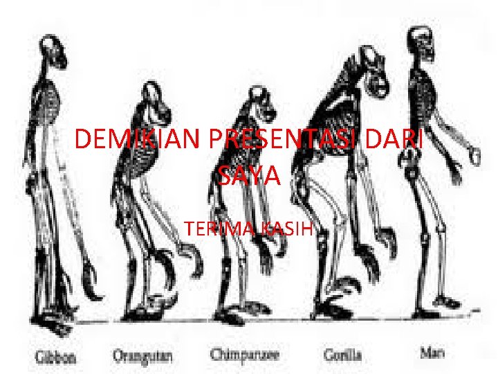 DEMIKIAN PRESENTASI DARI SAYA TERIMA KASIH 