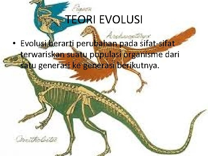 TEORI EVOLUSI • Evolusi berarti perubahan pada sifat-sifat terwariskan suatu populasi organisme dari satu