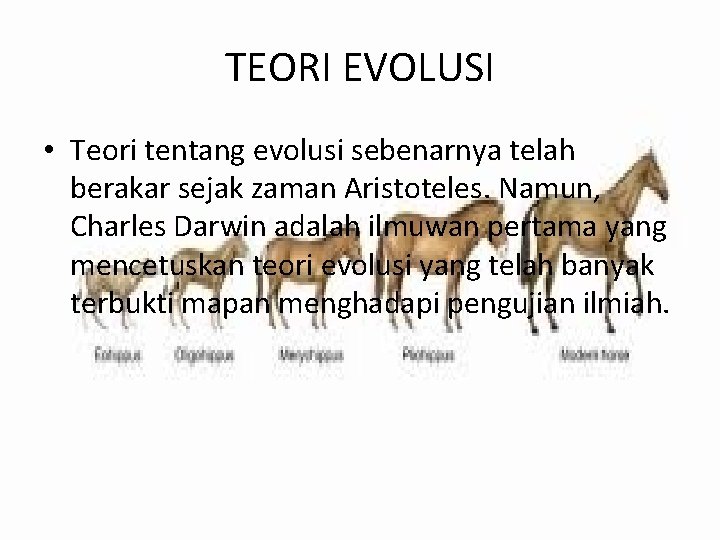 TEORI EVOLUSI • Teori tentang evolusi sebenarnya telah berakar sejak zaman Aristoteles. Namun, Charles