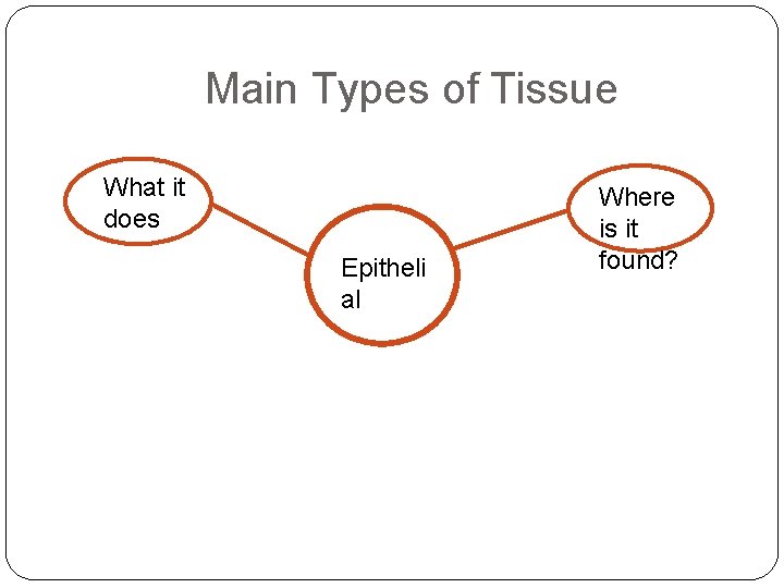 Main Types of Tissue What it does Epitheli al Where is it found? 