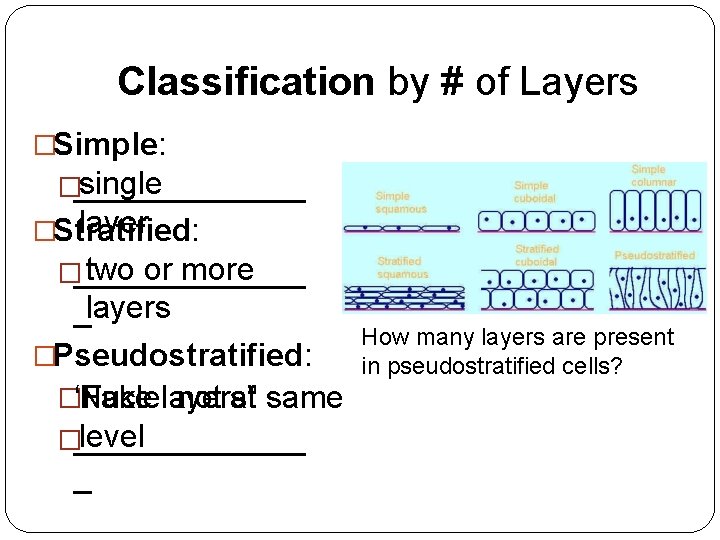 Classification by # of Layers �Simple: single �_______ layer �Stratified: two or more �_______