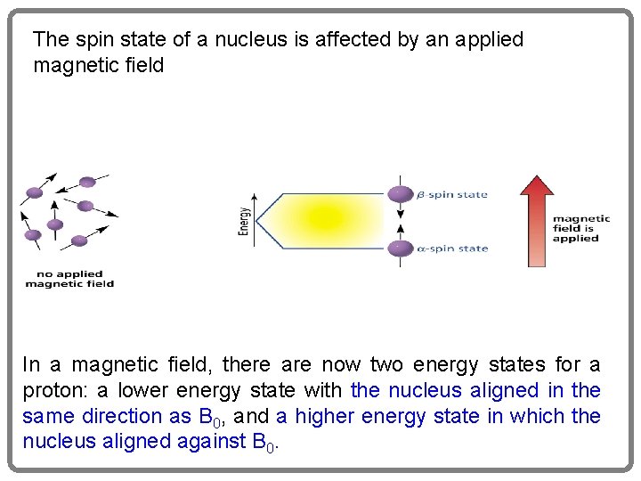 The spin state of a nucleus is affected by an applied magnetic field In