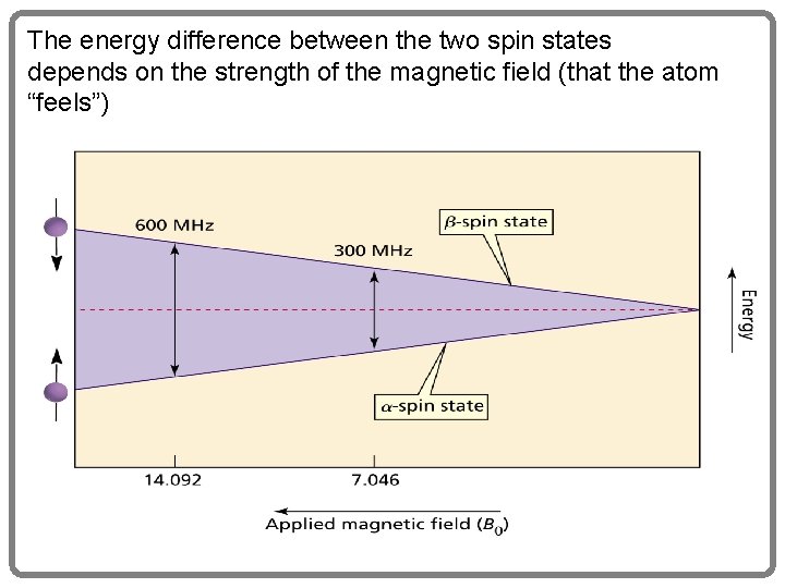 The energy difference between the two spin states depends on the strength of the