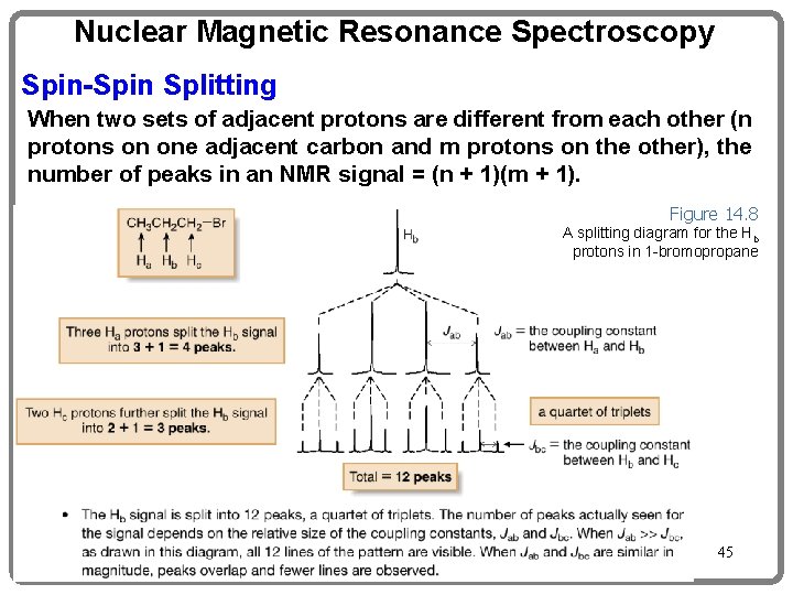 Nuclear Magnetic Resonance Spectroscopy Spin-Spin Splitting When two sets of adjacent protons are different