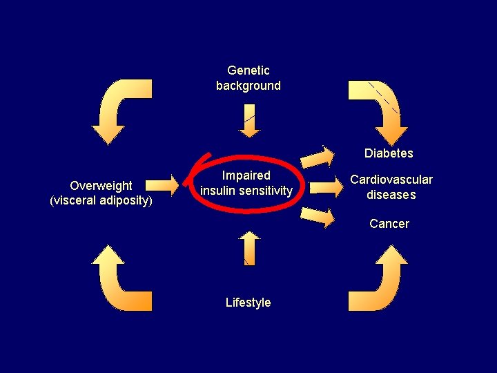 Genetic background Diabetes Overweight (visceral adiposity) Impaired insulin sensitivity Cardiovascular diseases Cancer Lifestyle 