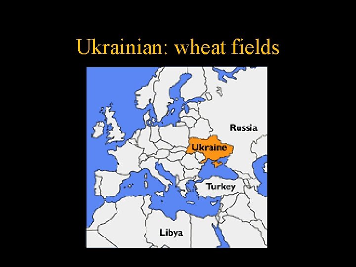 Ukrainian: wheat fields 