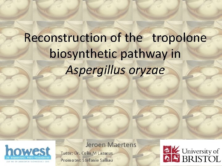 Reconstruction of the tropolone biosynthetic pathway in Aspergillus oryzae Jeroen Maertens Tutor: Dr. Colin