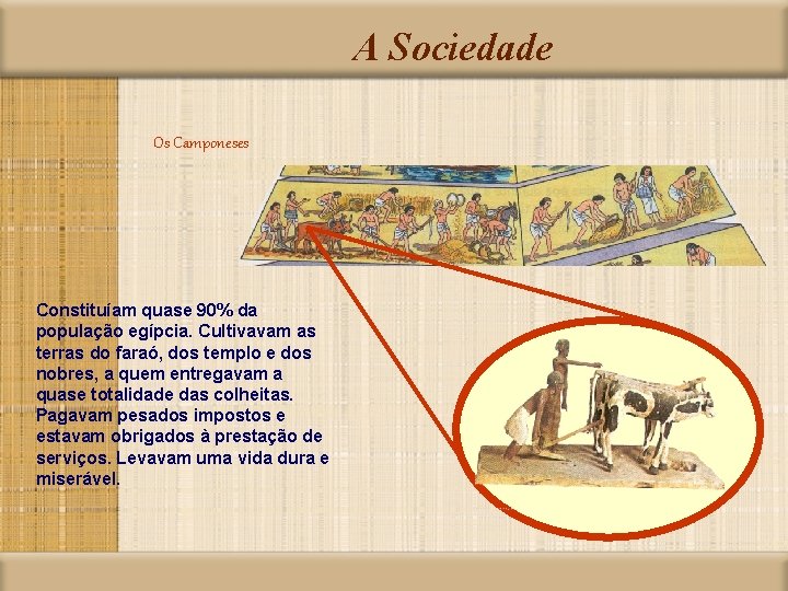 A Sociedade Os Camponeses Constituíam quase 90% da população egípcia. Cultivavam as terras do