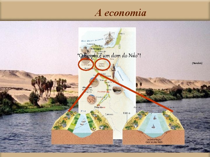 A economia “O Egipto é um do Nilo”! (Heródoto) 