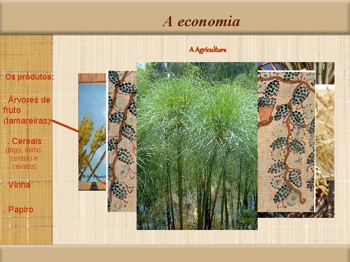 A economia A Agricultura Os produtos: . Árvores de fruto (tamareiras). Cereais (trigo, milho,