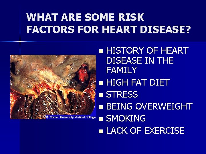 WHAT ARE SOME RISK FACTORS FOR HEART DISEASE? HISTORY OF HEART DISEASE IN THE