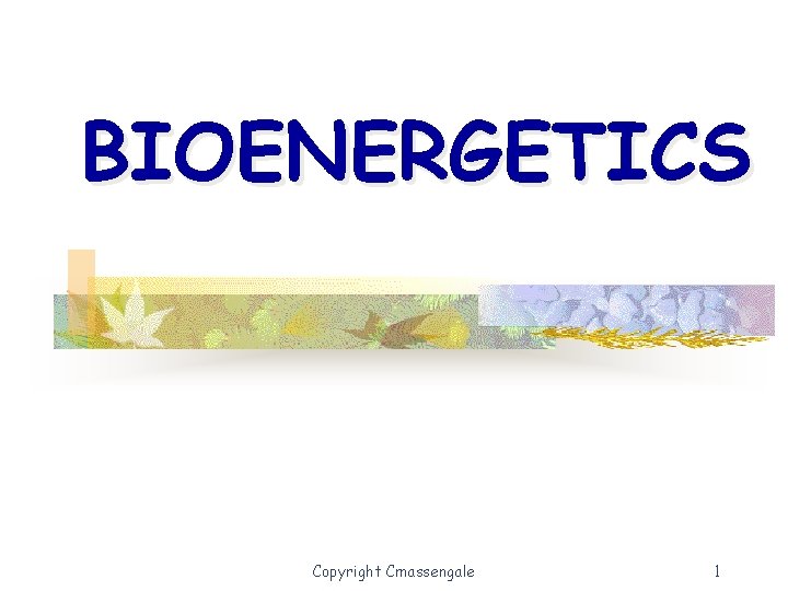 BIOENERGETICS Copyright Cmassengale 1 