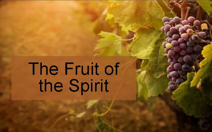 The Fruit of the Spirit 