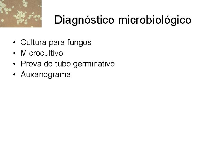 Diagnóstico microbiológico • • Cultura para fungos Microcultivo Prova do tubo germinativo Auxanograma 