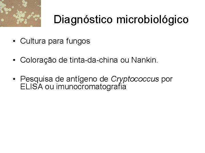 Diagnóstico microbiológico • Cultura para fungos • Coloração de tinta-da-china ou Nankin. • Pesquisa