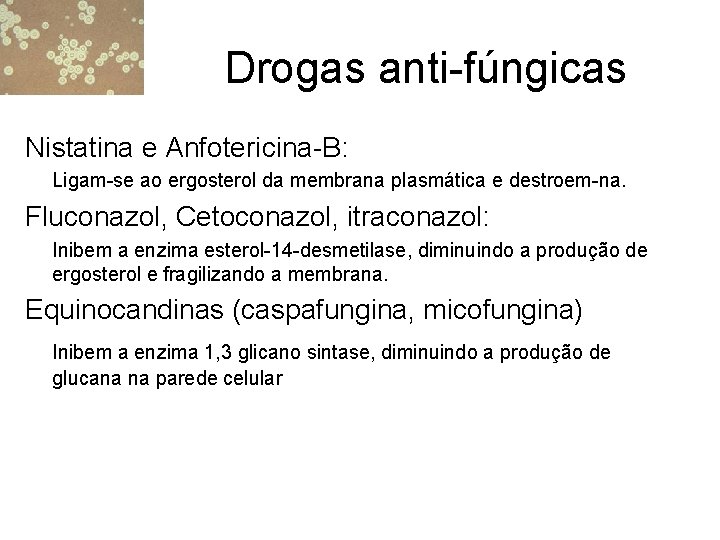 Drogas anti-fúngicas Nistatina e Anfotericina-B: Ligam-se ao ergosterol da membrana plasmática e destroem-na. Fluconazol,