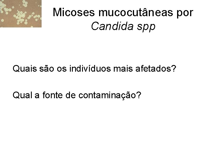 Micoses mucocutâneas por Candida spp Quais são os indivíduos mais afetados? Qual a fonte