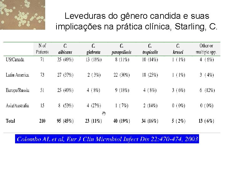 Leveduras do gênero candida e suas implicações na prática clínica, Starling, C. 