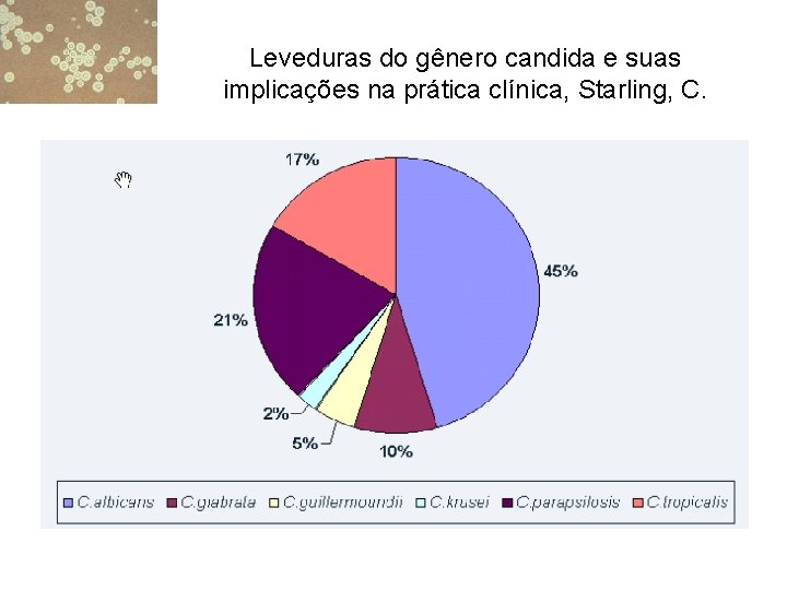 Leveduras do gênero candida e suas implicações na prática clínica, Starling, C. 