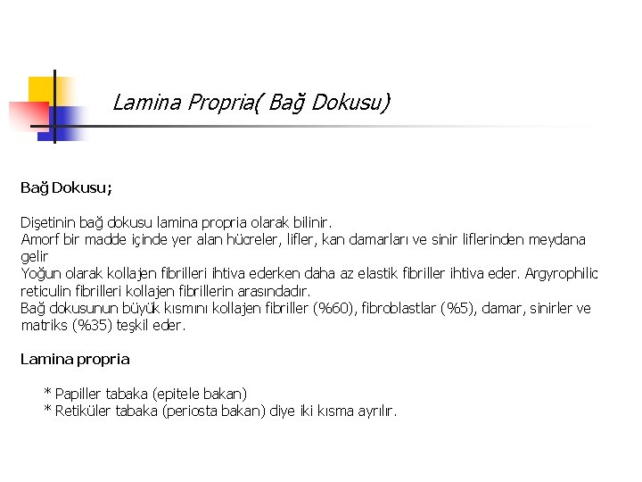 Lamina Propria( Bağ Dokusu) Bağ Dokusu; Dişetinin bağ dokusu lamina propria olarak bilinir. Amorf