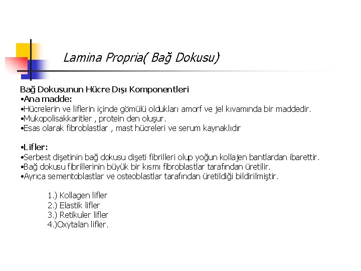 Lamina Propria( Bağ Dokusu) Bağ Dokusunun Hücre Dışı Komponentleri • Ana madde: • Hücrelerin