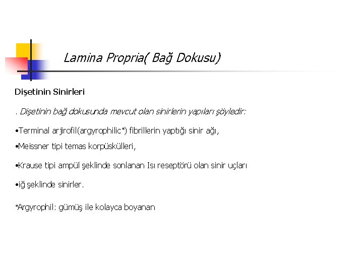 Lamina Propria( Bağ Dokusu) Dişetinin Sinirleri. Dişetinin bağ dokusunda mevcut olan sinirlerin yapıları şöyledir: