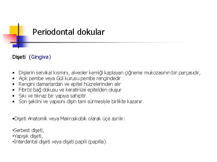 Periodontal dokular Dişeti (Gingiva) § § § Dişlerin servikal kısmını, alveoler kemiği kaplayan çiğneme