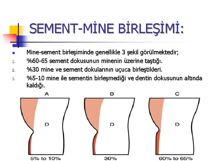 SEMENT-MİNE BİRLEŞİMİ: n 1. 2. 3. Mine-sement birleşiminde genellikle 3 şekil görülmektedir; %60 -65