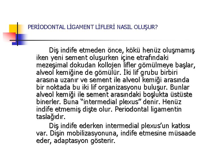 PERİODONTAL LİGAMENT LİFLERİ NASIL OLUŞUR? Diş indife etmeden önce, kökü henüz oluşmamış iken yeni