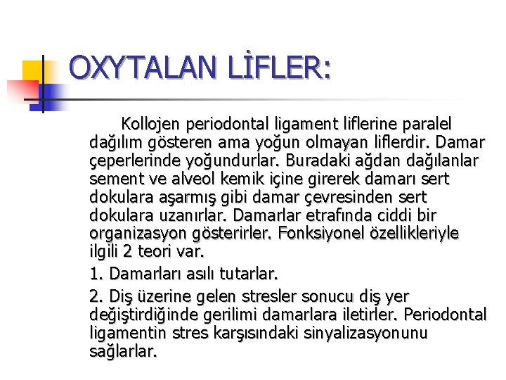 OXYTALAN LİFLER: Kollojen periodontal ligament liflerine paralel dağılım gösteren ama yoğun olmayan liflerdir. Damar