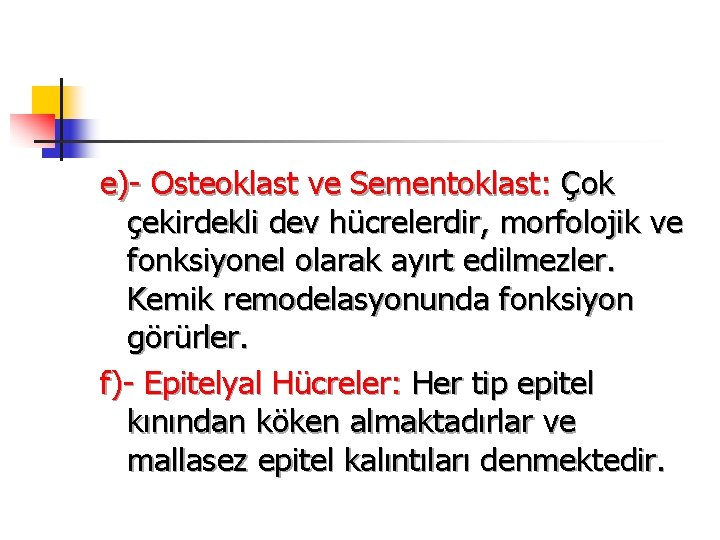 e)- Osteoklast ve Sementoklast: Çok çekirdekli dev hücrelerdir, morfolojik ve fonksiyonel olarak ayırt edilmezler.