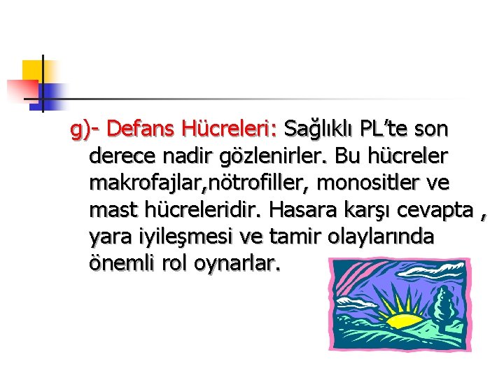 g)- Defans Hücreleri: Sağlıklı PL’te son derece nadir gözlenirler. Bu hücreler makrofajlar, nötrofiller, monositler