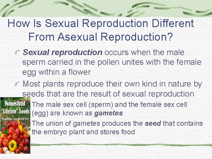 How Is Sexual Reproduction Different From Asexual Reproduction? Sexual reproduction occurs when the male How Is Sexual Reproduction Different From Asexual Reproduction? Sexual reproduction occurs when the male