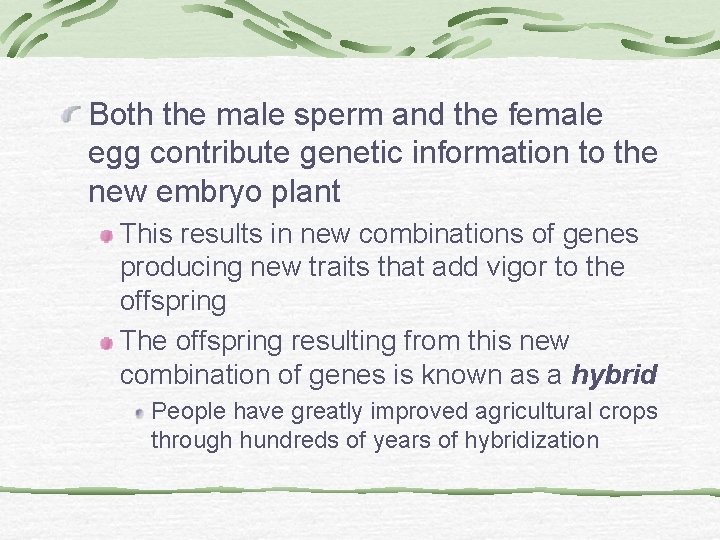 Both the male sperm and the female egg contribute genetic information to the new Both the male sperm and the female egg contribute genetic information to the new